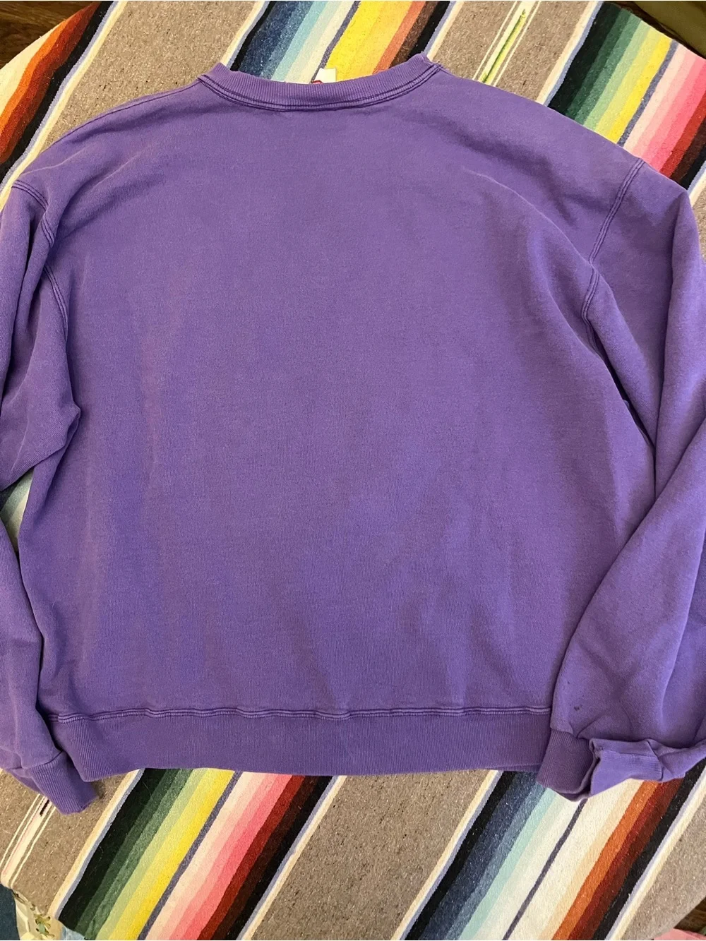 Champion Minnesota Vikings Purple Crewneck Sweatshirt vintage